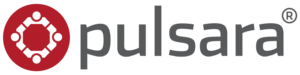 Pulsara Logo